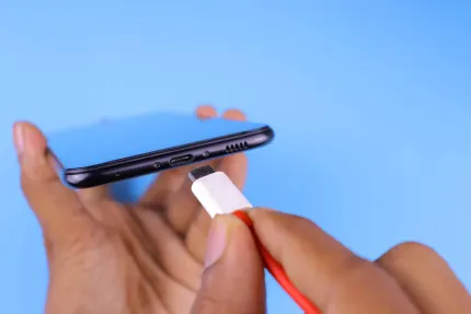 Kasino Mobile Wins Mobiilisovellus